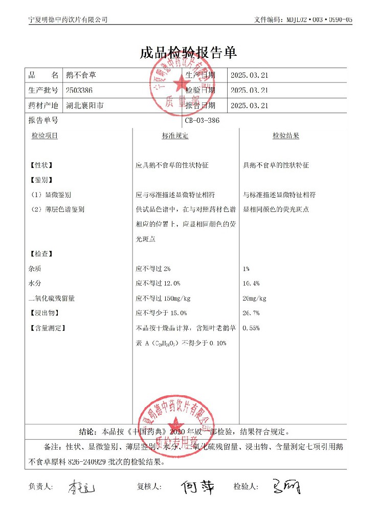 2503386鵝不食草.jpg